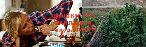 гашик Алексеевка