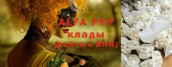 шишки Алзамай